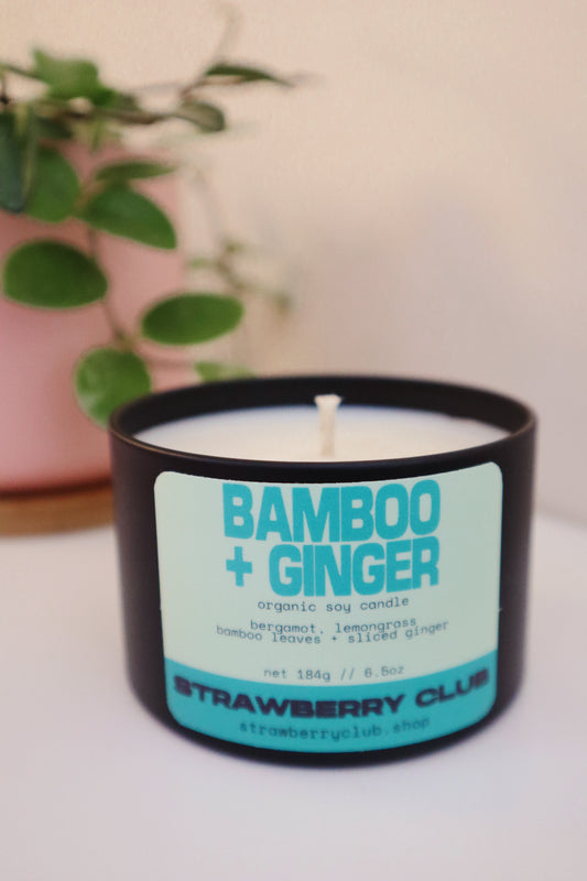 Bamboo + Ginger Soy Candle