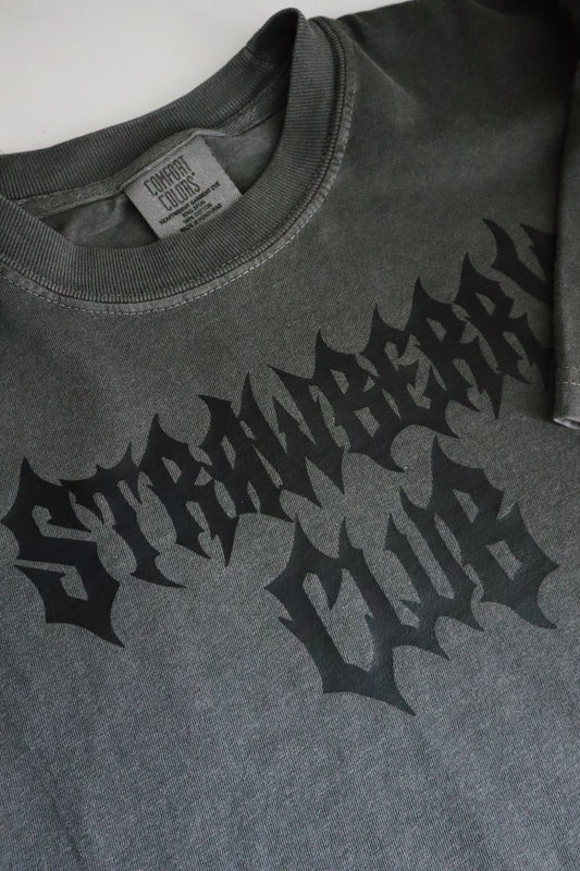 5 Year Logo Tee